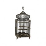 Victorian birdcage - Charlotte interior design and decor